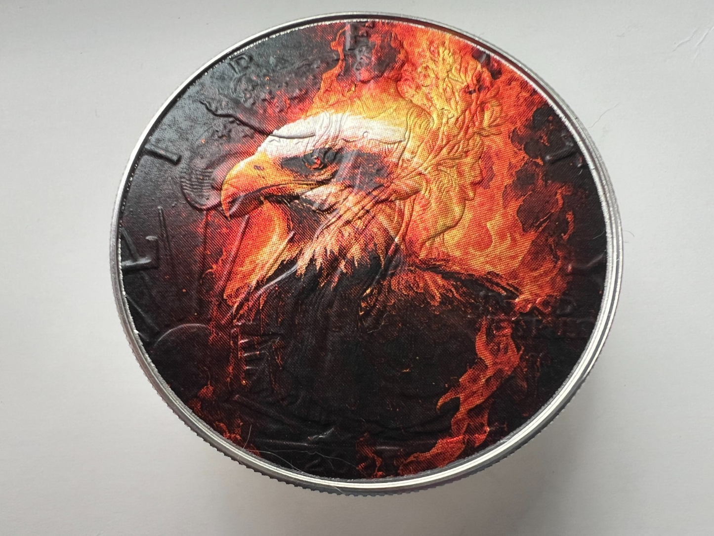 Image #5