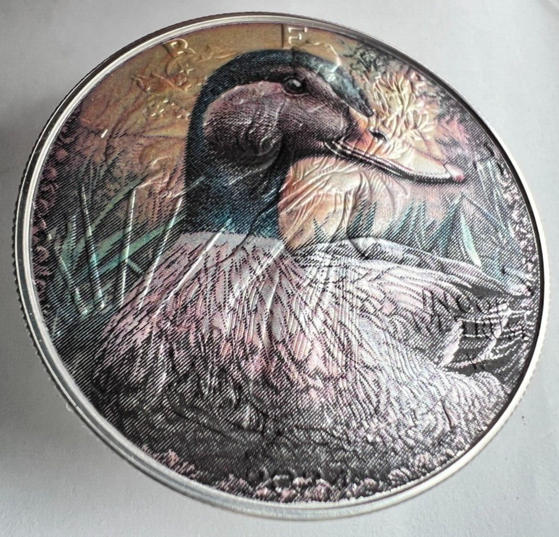 Image #5