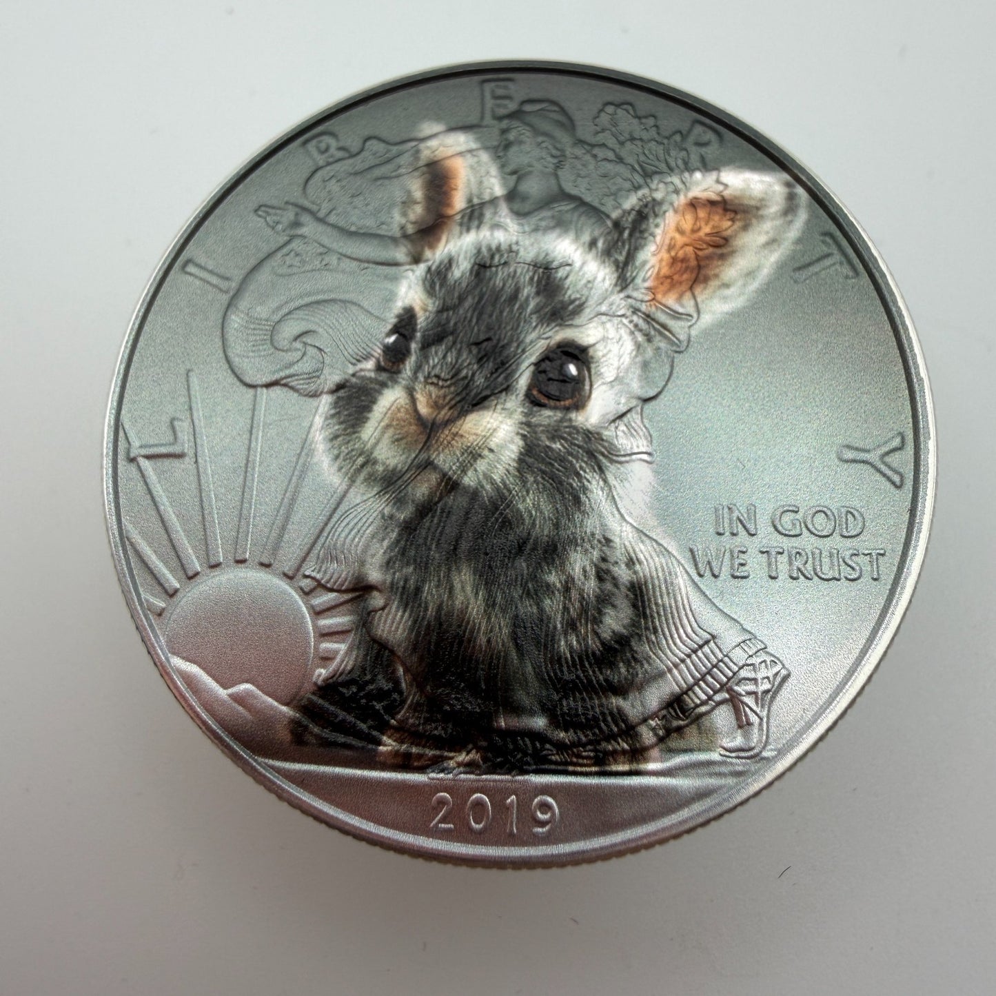 Image #5