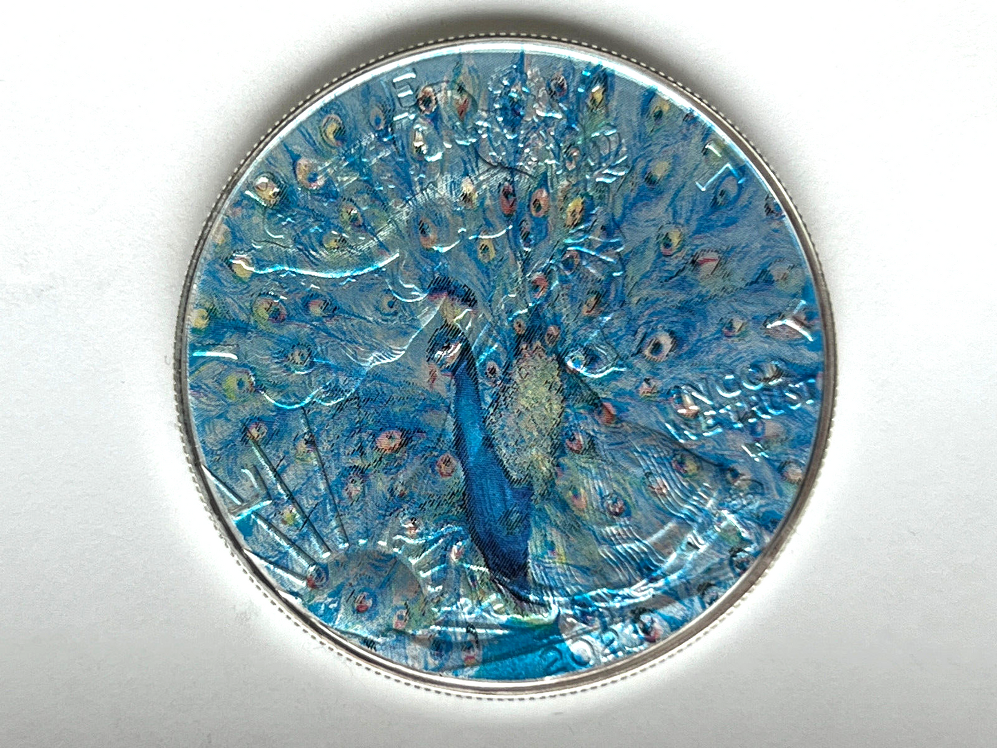 Image #5