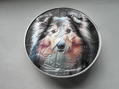 Image #5