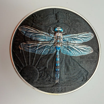 Image #8