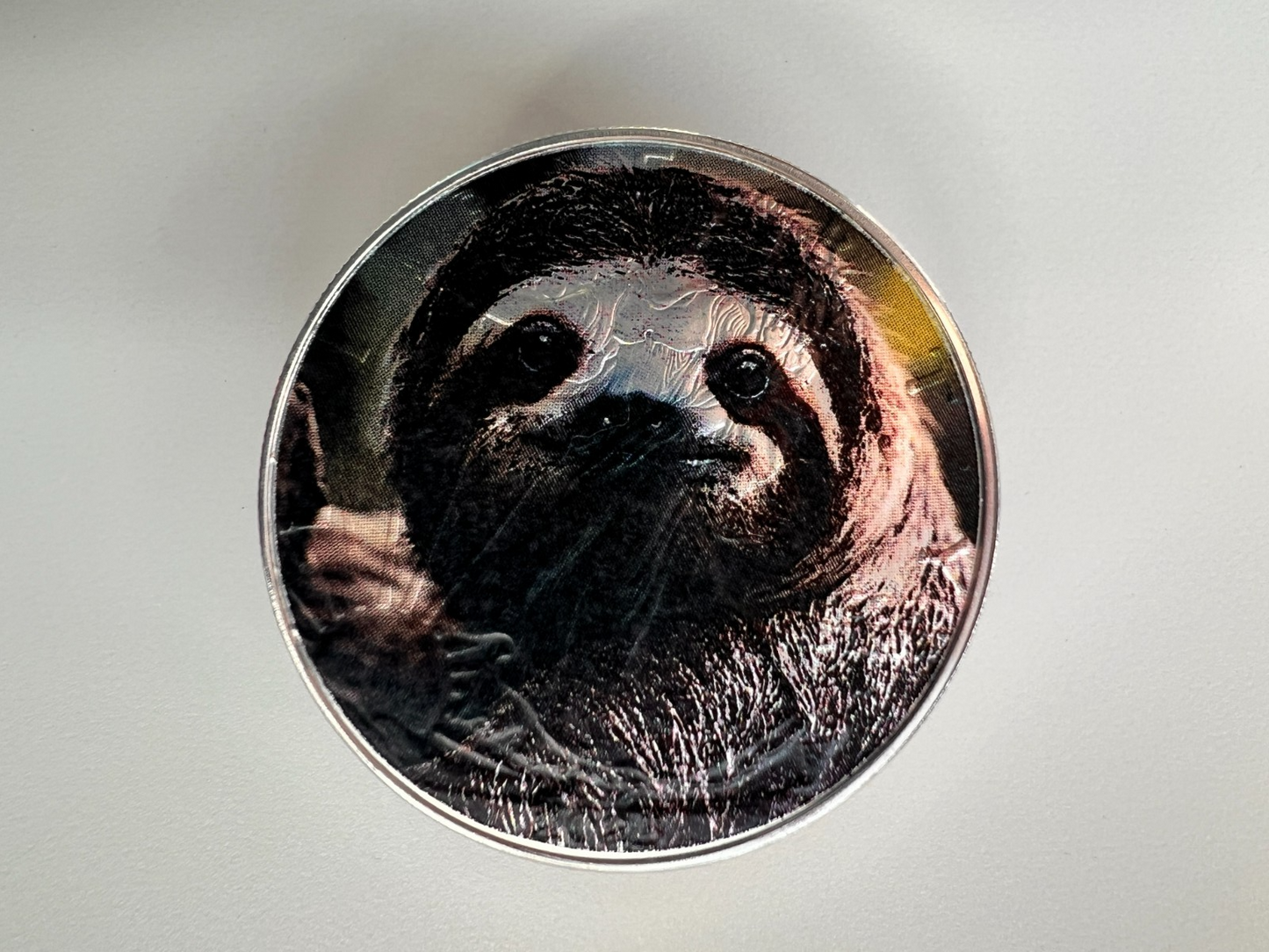 Image #8