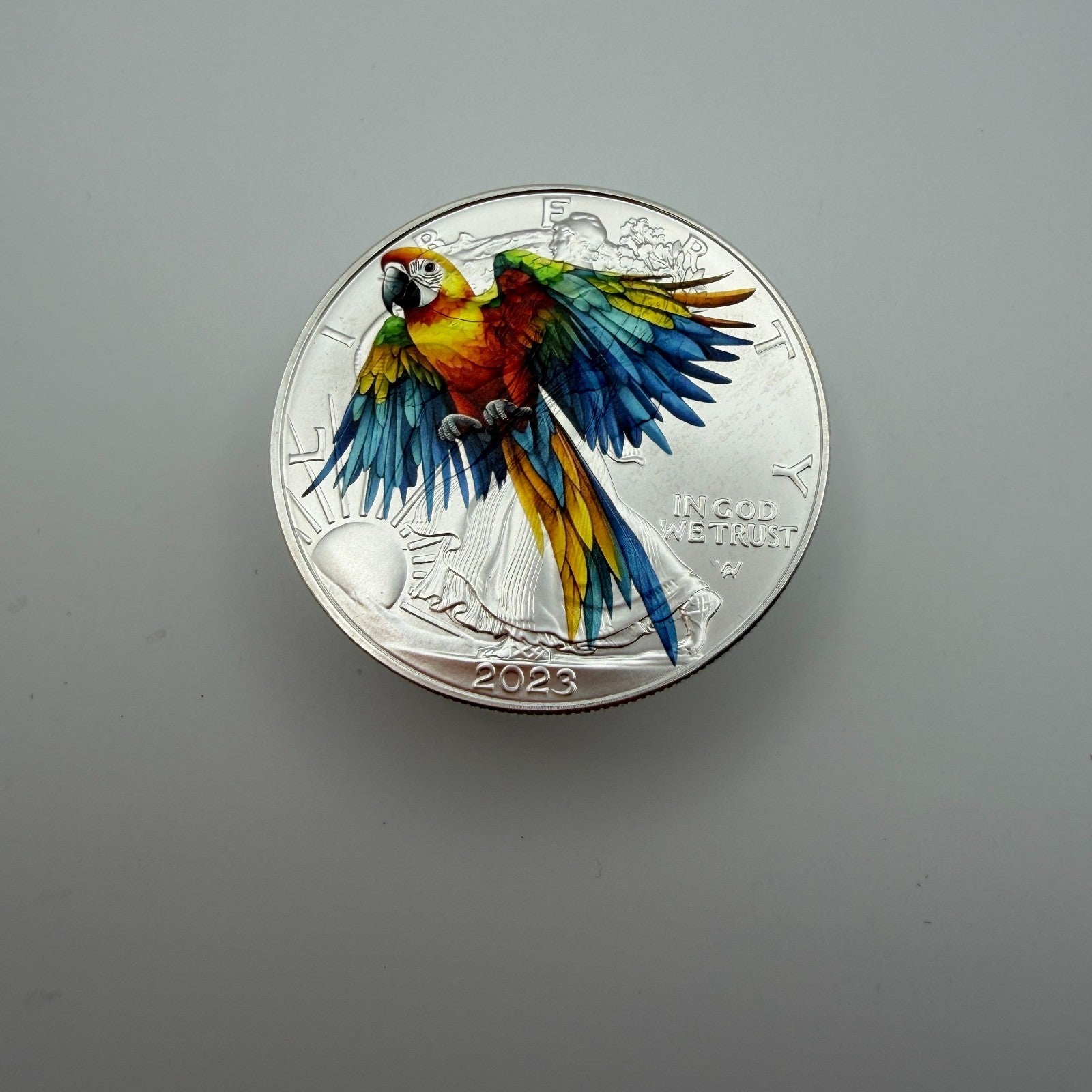 Image #5