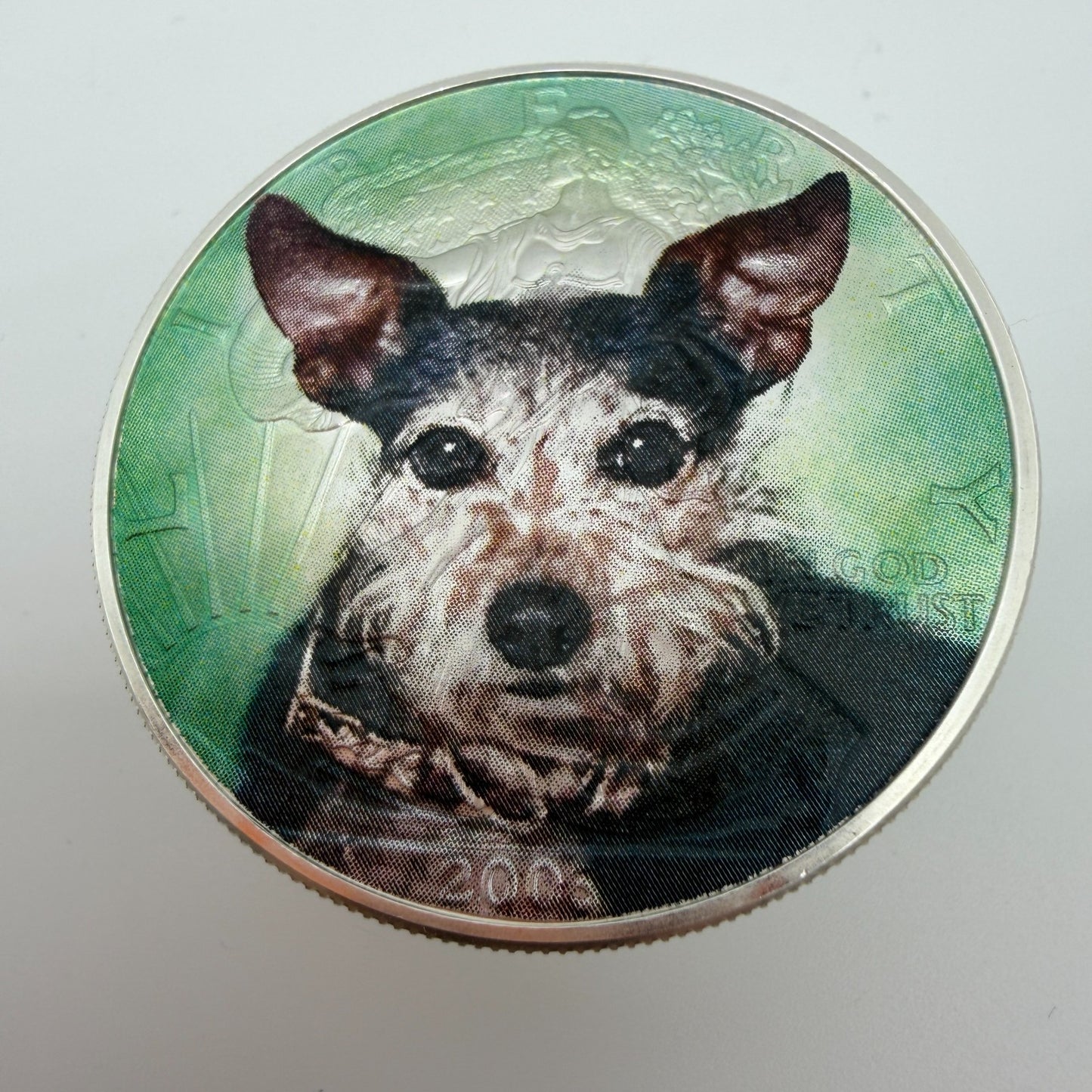 Image #2