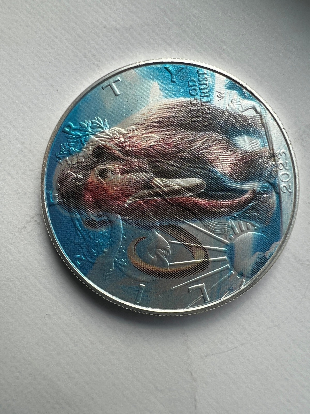Image #5