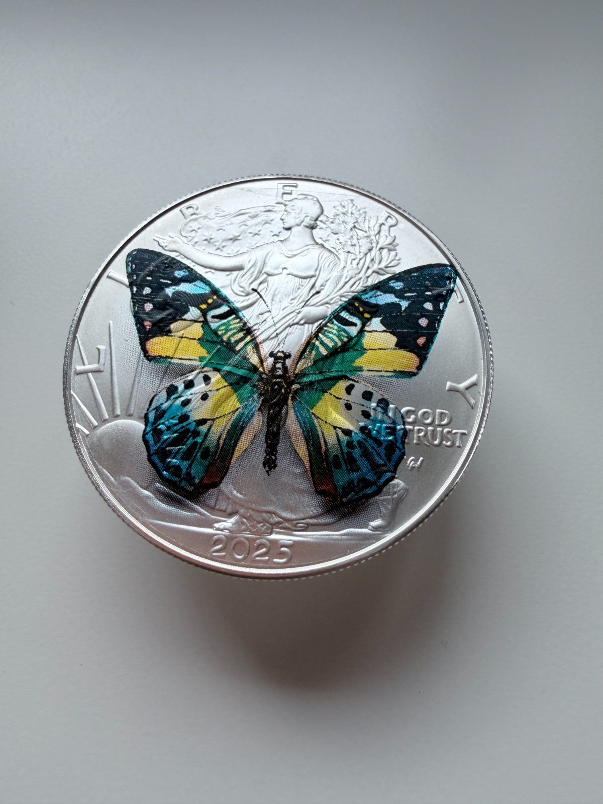 Image #5