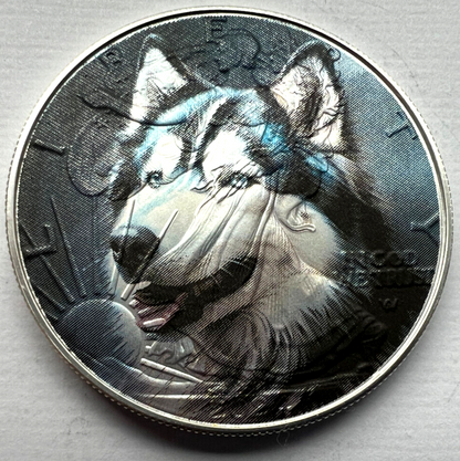 Image #6