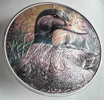 Image #5