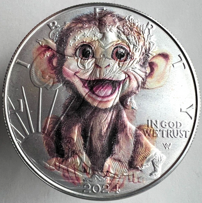 Image #5