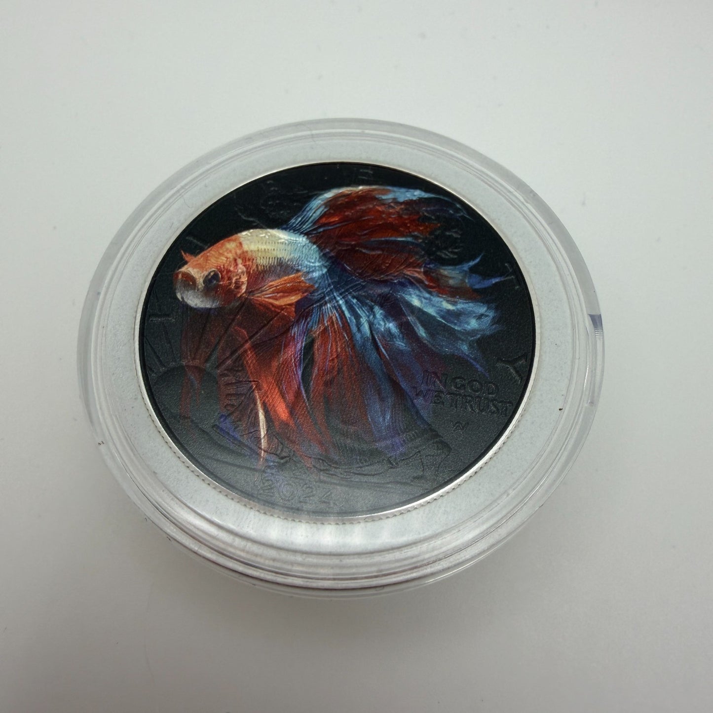 Image #2