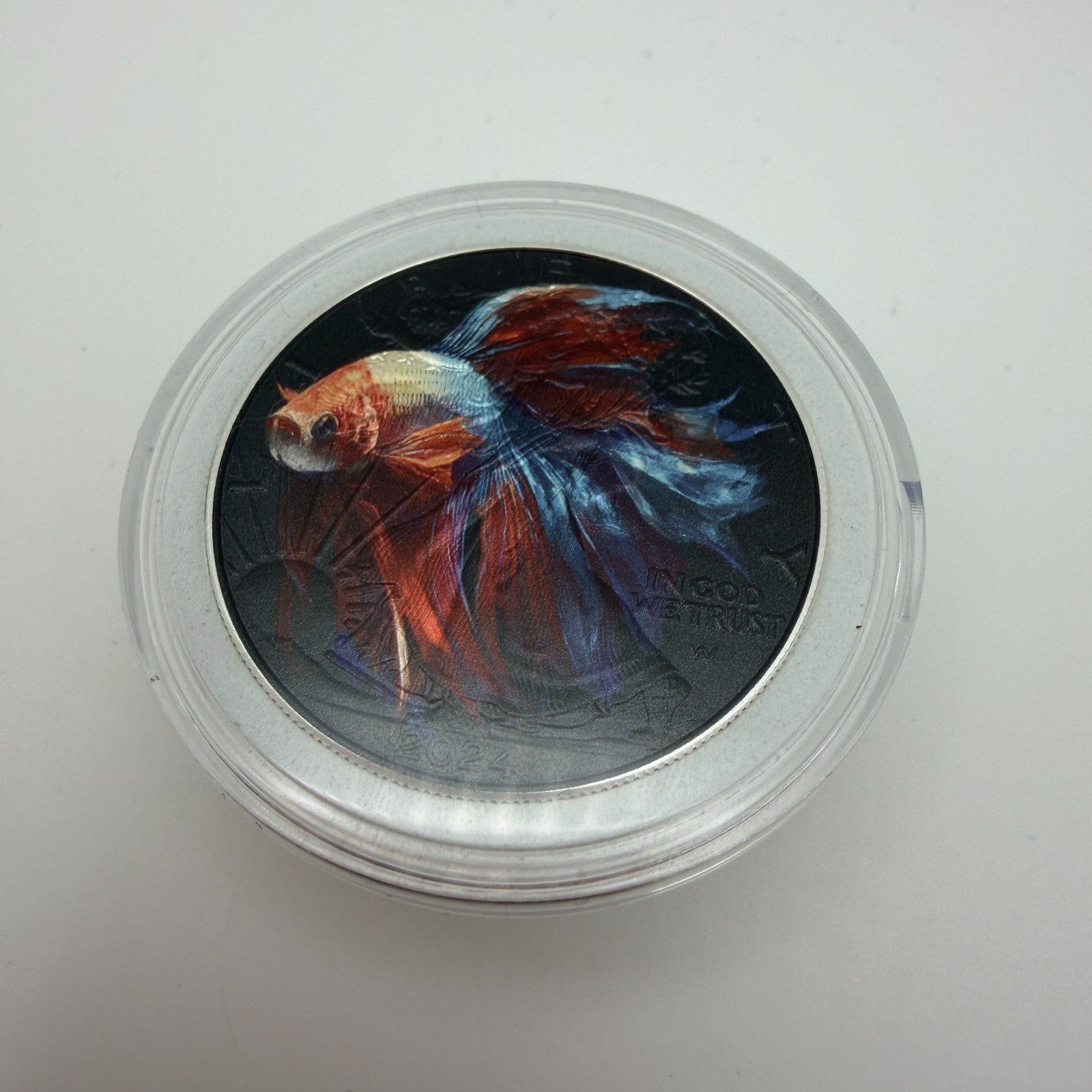 Image #2