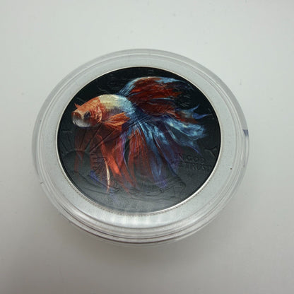 Image #2