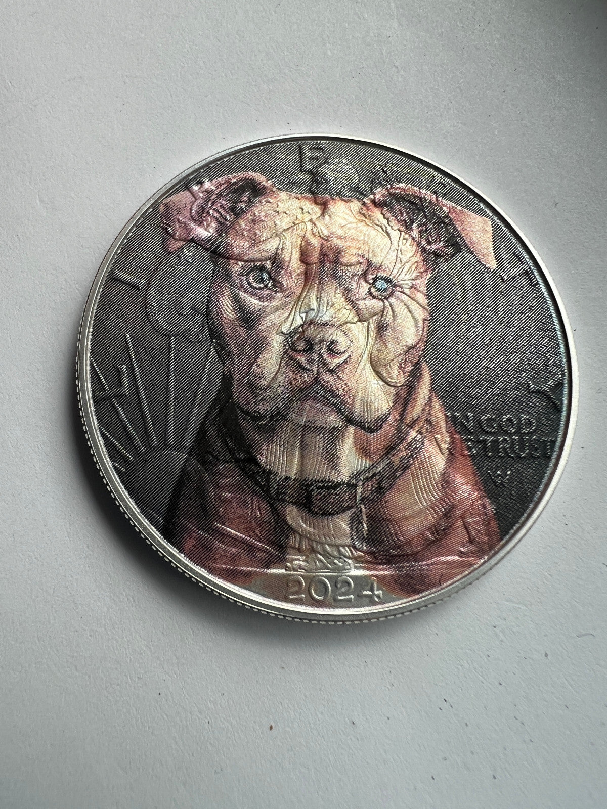 Image #7