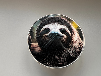 Image #7