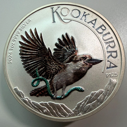 Image #1