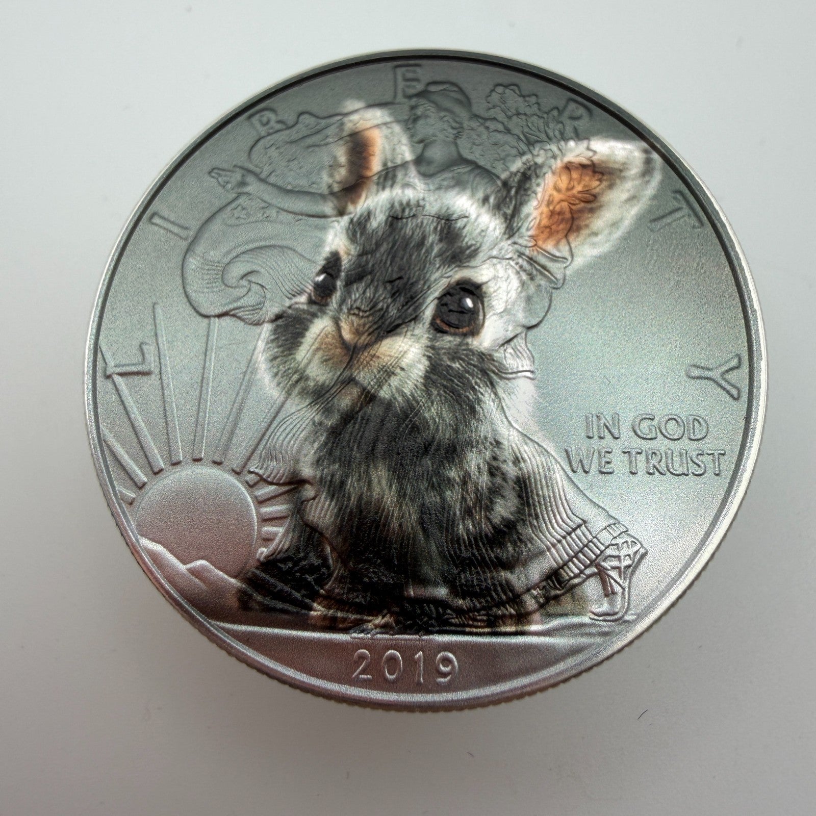 Image #5