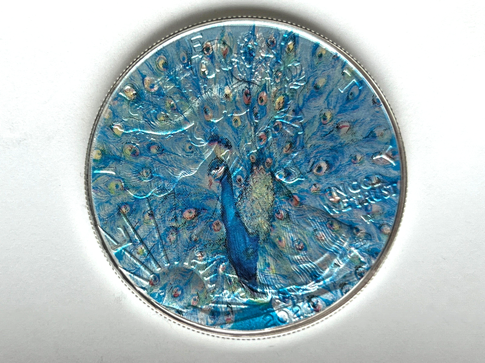 Image #5
