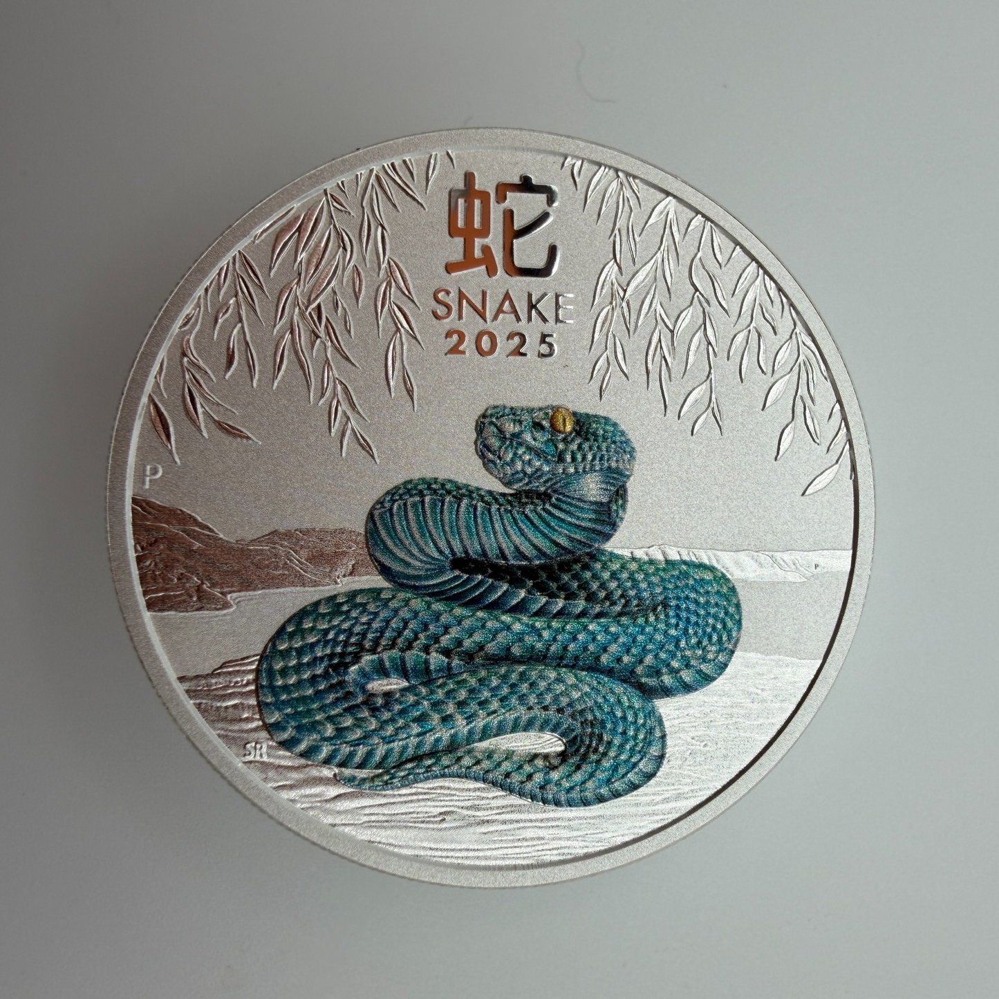 Image #5