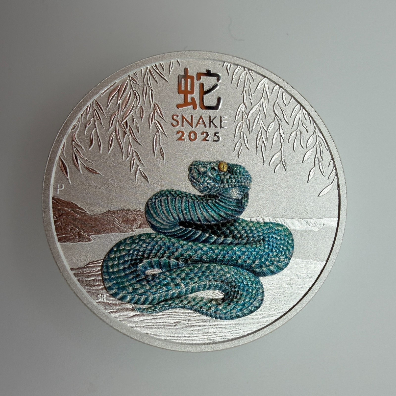Image #5