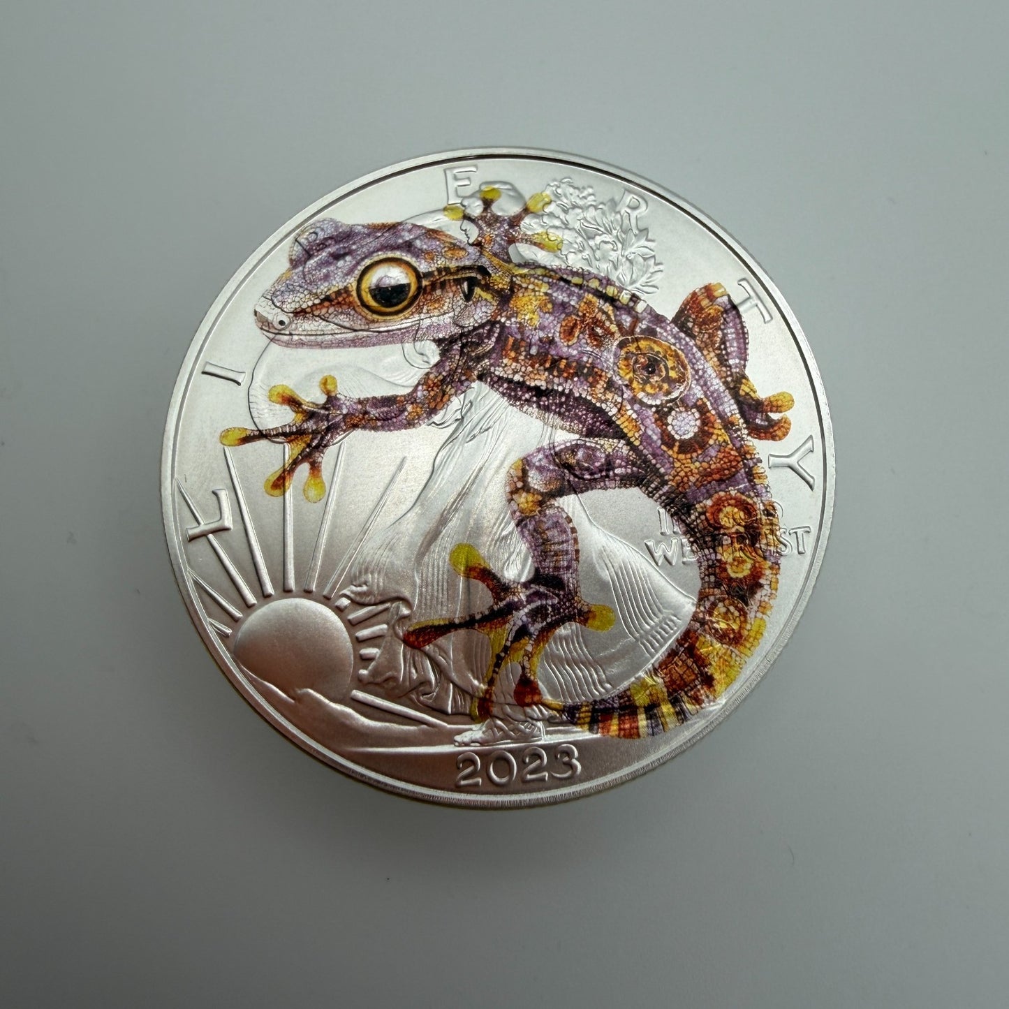 Image #5