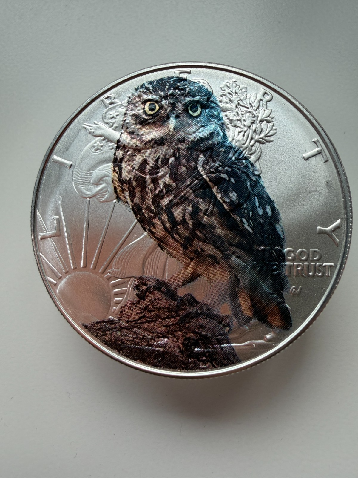 Image #5