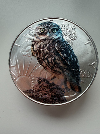 Image #5