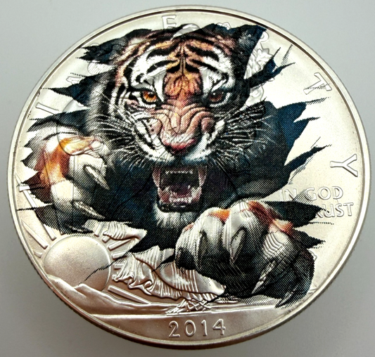 Image #1
