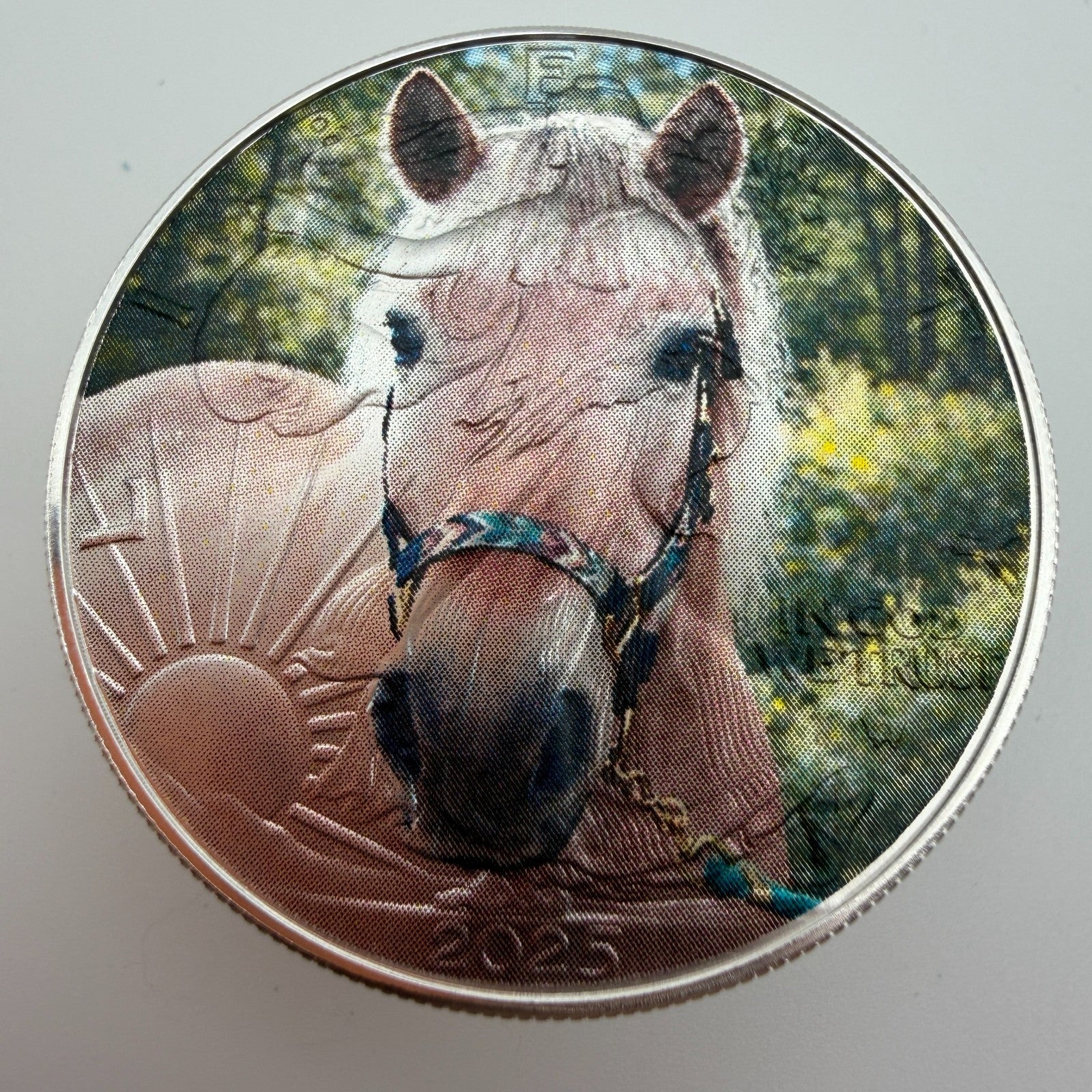 Image #14