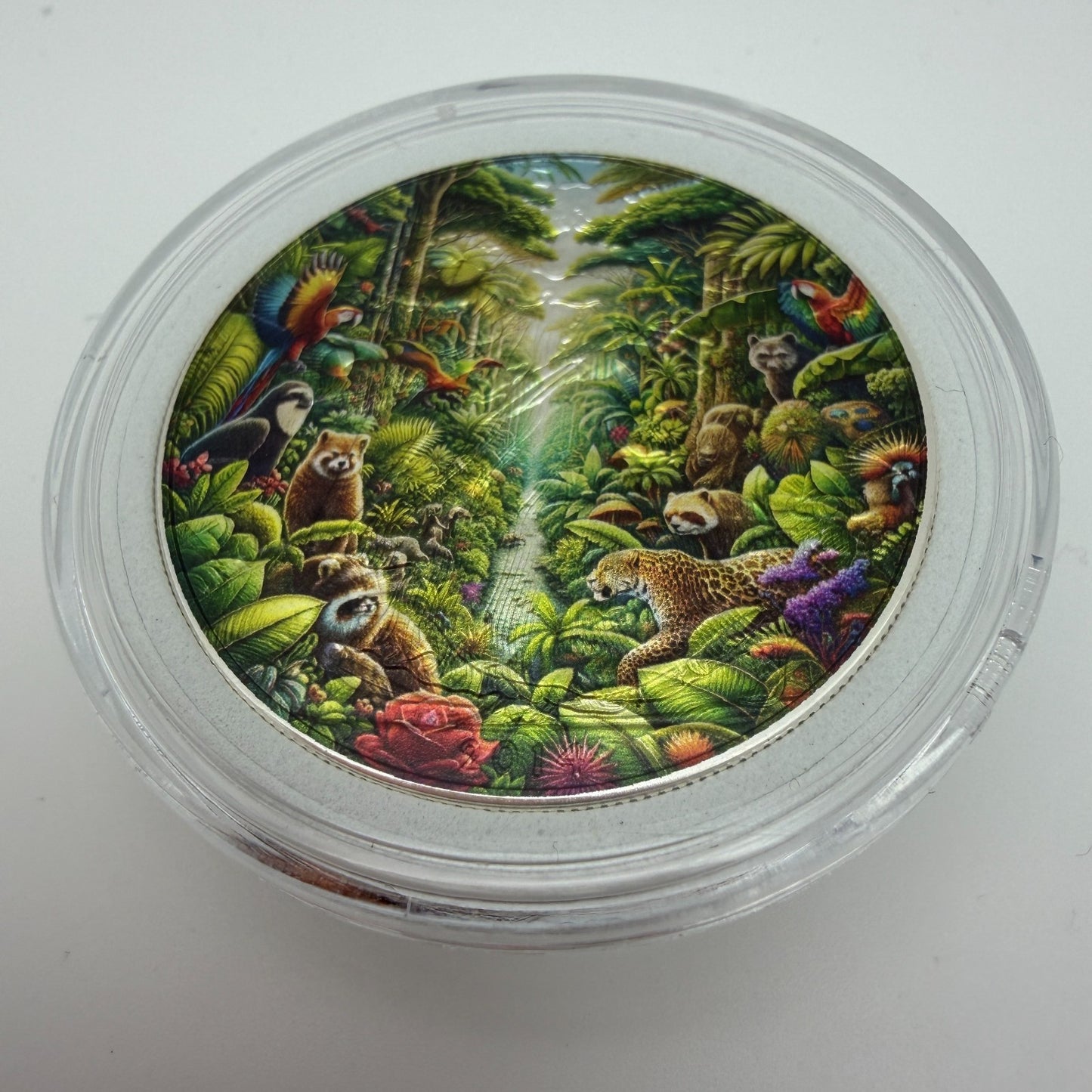 Image #2