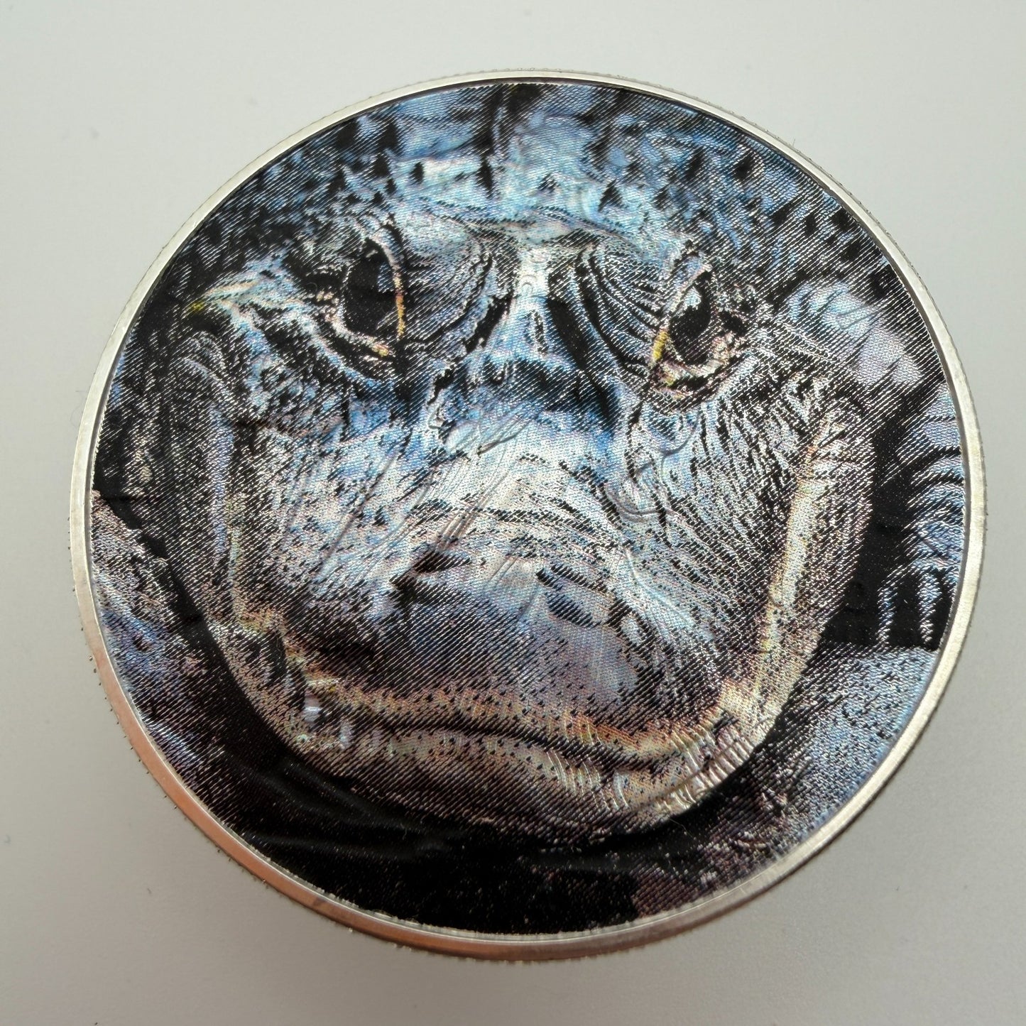 Image #6