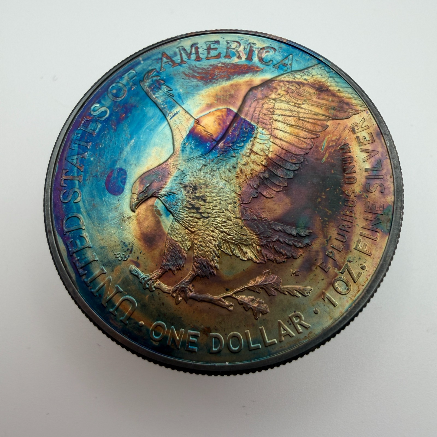 Image #4