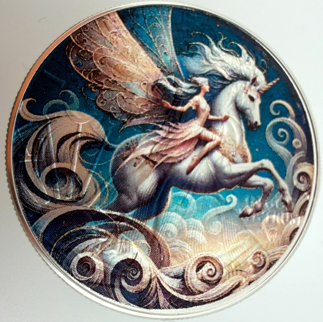 Image #7