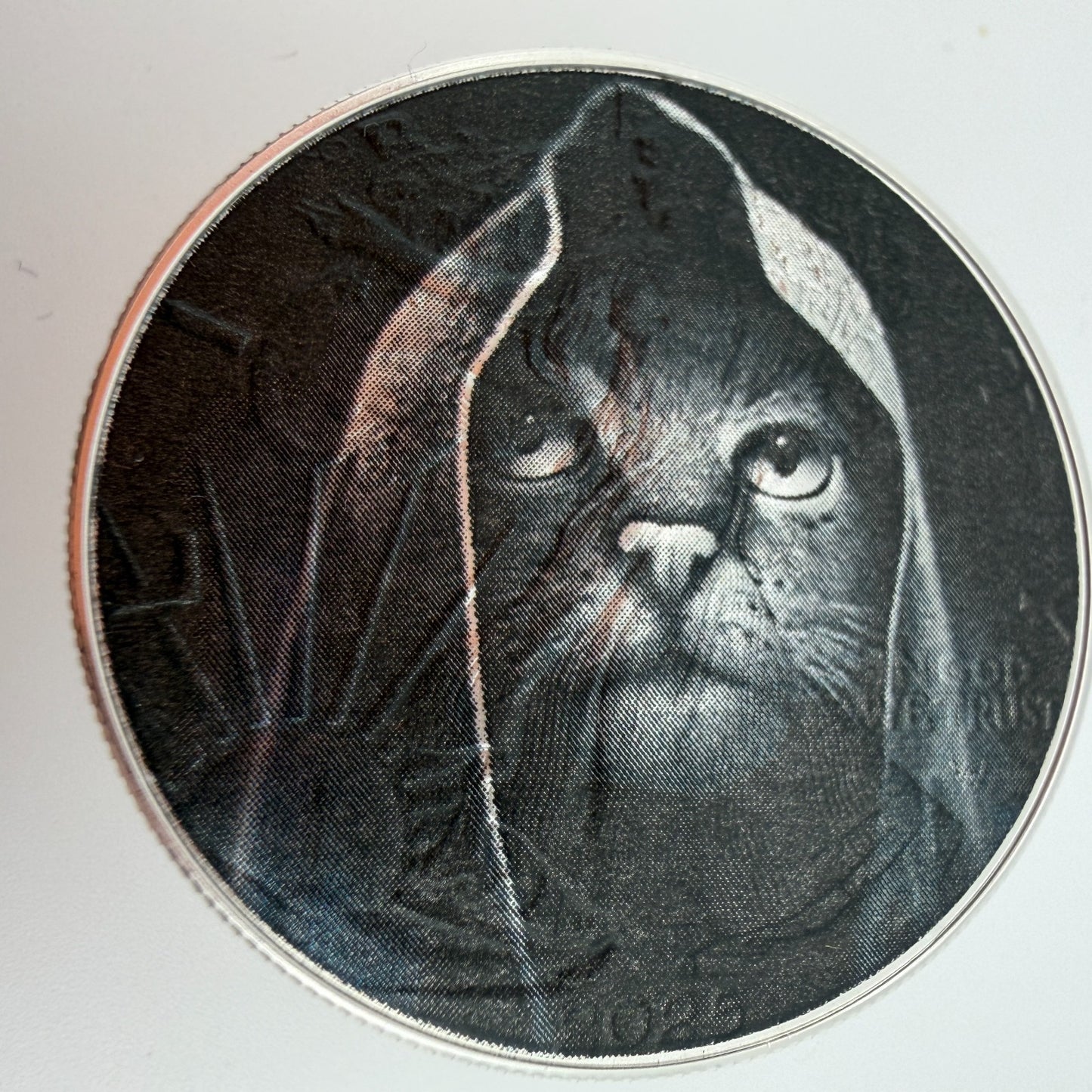 Image #8