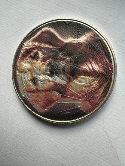 Image #6
