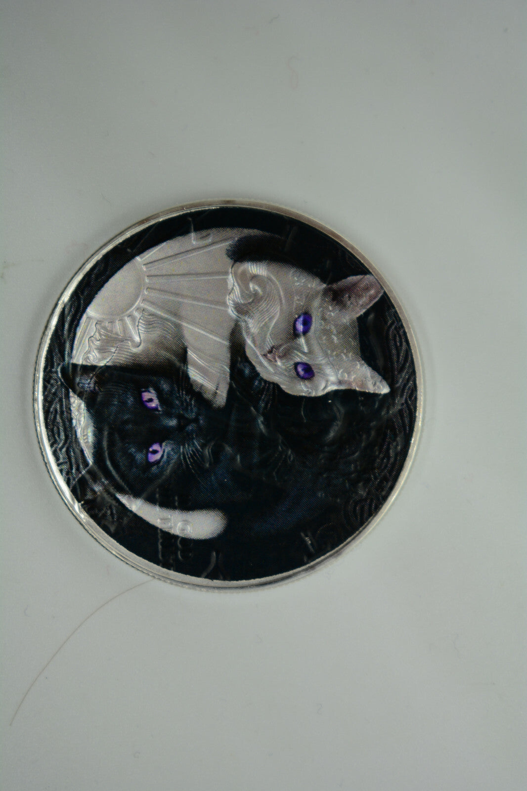 Image #5