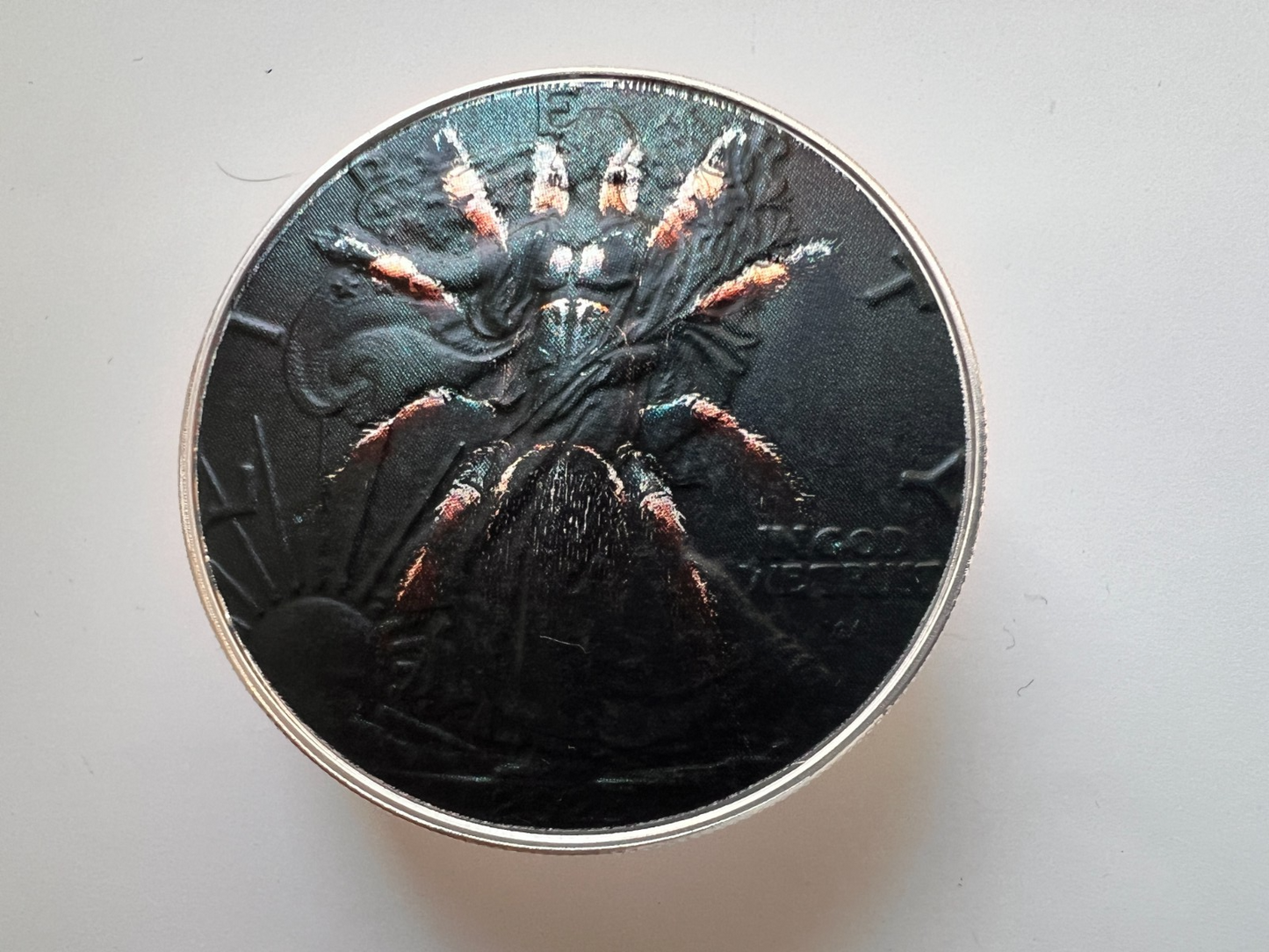 Image #5