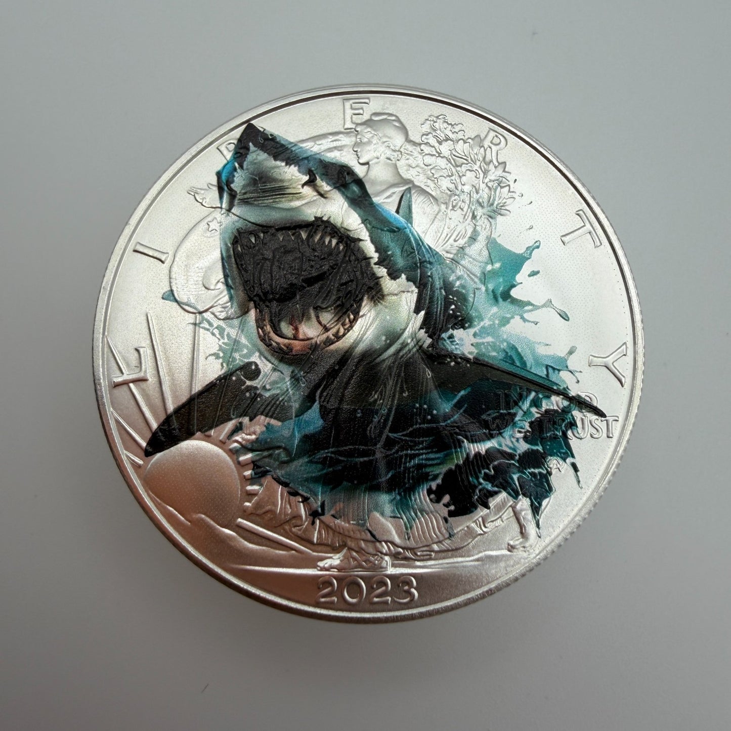 Image #5
