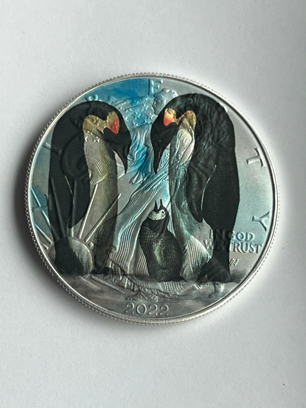 Image #5