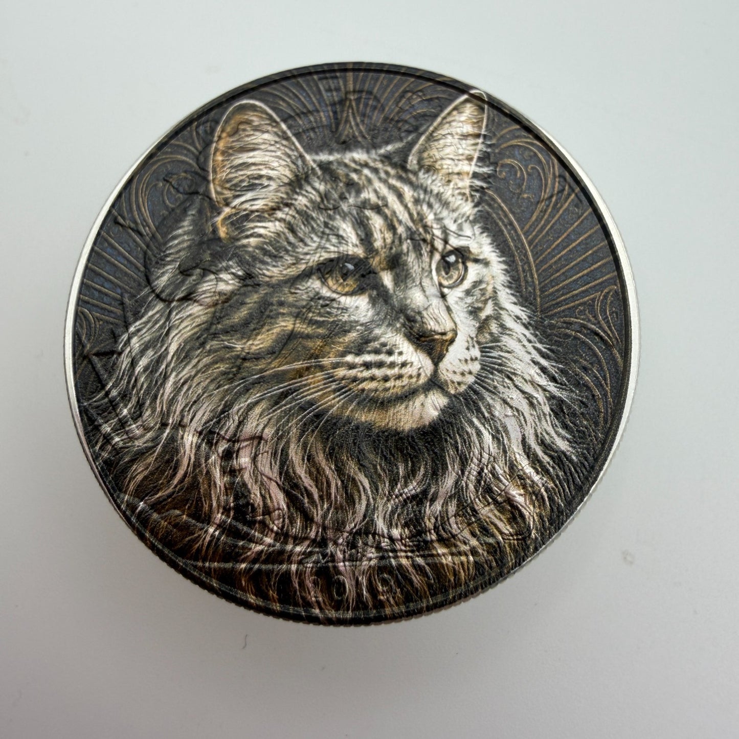 Image #5